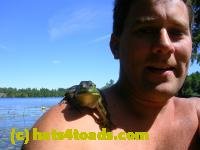 /home//u458753944/public_html/sourcegallery/////////////////////Frogs/More bullfrogs/DSCN5494.JPG